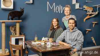 Hamburg | Katers Köök: Vom Franchise zum eigenen Betrieb