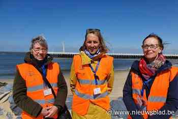 NorthSealTeam zoekt exta vrijwilligers langs de Oostkust: “Hebben daar jaarlijks twintigtal interventies”