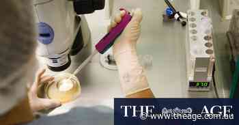 Monash IVF issued ‘please explain’ for not raising alarm over baby bungle