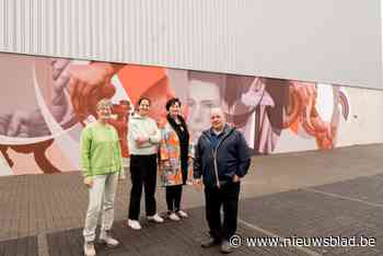 “Bron van inspiratie voor volgende generaties”: wielerlegende Nicolle Van den Broeck vereeuwigd in muurschildering