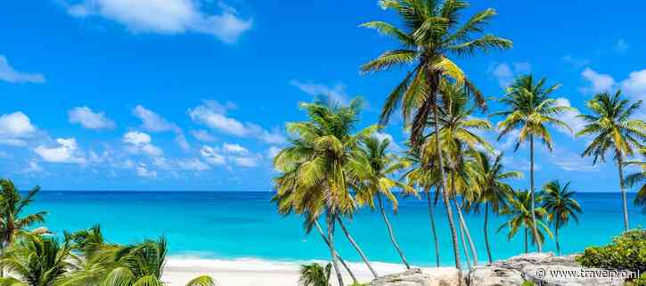 KLM deze winter weer naar Barbados