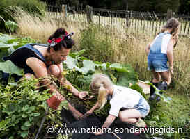 Moestuincoaches leren kinderen waar het eten vandaan komt