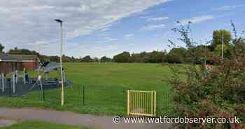 Rugby club granted permission for 15m floodlights around pitch