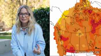 Wildcard summer ahead? Why this forecast is so uncertain