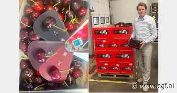 "Deze week eerste serieuze volumes Spaanse kaskersen"