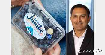Fruitist nieuwe naam voor blauwe bessenspecialist Agrovision