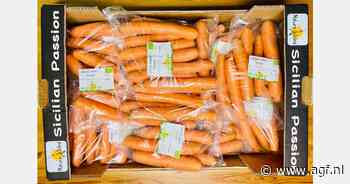 Export Siciliaanse wortelen gestart