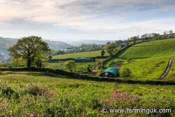 Fund relaunched to offer interest-free loans to organic start-ups