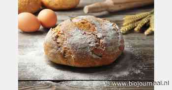 Biobedrijven bundelen krachten voor regionale korte keten