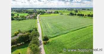 Halvering stikstofuitstoot verplaatst van 2030 naar 2035