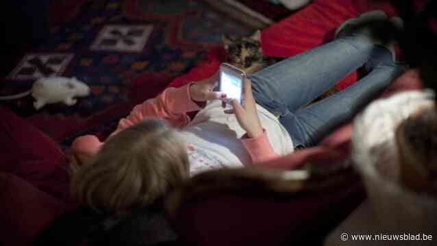 Parket eist vier jaar cel tegen man (57) die tiener onder druk zet om naaktfoto’s te sturen: “Hij lokt kinderen via het internet en misbruikt hen digitaal, dat maakt hem gevaarlijk”