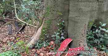 'Dispiriting' vandalism at farm featured on BBC Countryfile