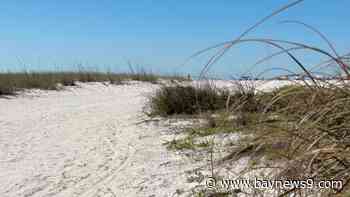 Pinellas County coastal cities to hold ‘State of the Beaches’ town hall Thursday night