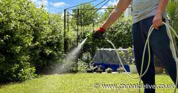 Gardeners urged to put one natural item on soil for greener lawns