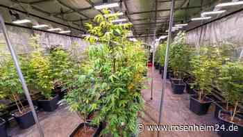 Drei Cannabisclubs in Bayern genehmigt