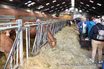 Fleischerei Klare feiert das 10. Hoffest in Borgentreich