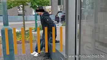 Agressie op lijnbus in Opglabbeek: vrouw krijgt slag in gezicht