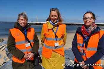 NorthSealTeam zoekt extra vrijwilligers langs de Oostkust: “Hebben daar jaarlijks twintigtal interventies”