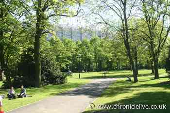 Petition to 'save' Leazes Park from potential development of new stadium