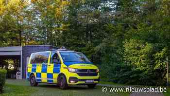 Politie vat twee verdachten van diefstallen in auto’s in Edegem