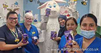 MP hops over to Watford General dressed as Easter Bunny