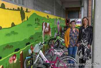 Muurschildering verfraait fietsberging: “We hopen zo lelijke graffiti van vandalen weg te houden”