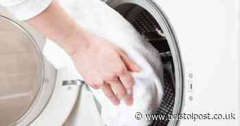 Experts share simple tips to alleviate hay fever symptoms at home