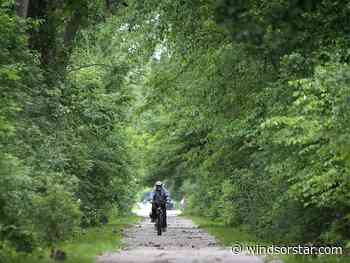 Opinion: Roots of tomorrow — Canada's forests need our support