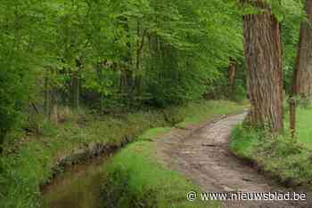 Halle en Beersel steken Hendrik Consciencepad na negentig jaar in een nieuw kleedje