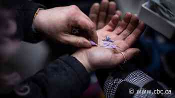 The politics of the toxic drug crisis