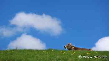 Schön, aber bedenklich: Der April endet viel zu trocken - der Mai startet sonnig