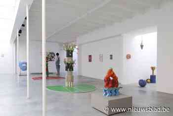 Zeven jonge kunstenaressen stellen kleurrijk werk tentoon in Atelier José Vermeersch