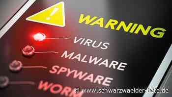 Falscher IT-Fachmann : Dreister Betrüger ergaunert in Calw mehrere Tausend Euro