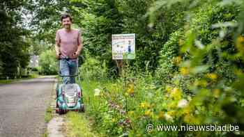 Beerse doet mee aan Bye Bye Gazon: “Laat een stukje van je tuin met rust”