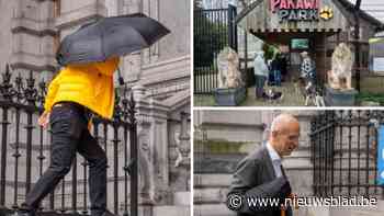 “Ik mocht niks, zelfs zwanger worden mocht ik niet, behalve van jou”: zaakvoerder Pakawi Park opnieuw voor rechter