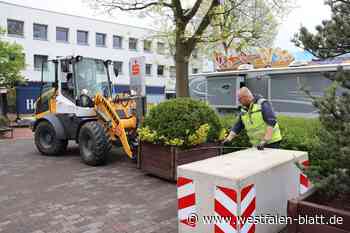 Endspurt zum Kirschblütenfest