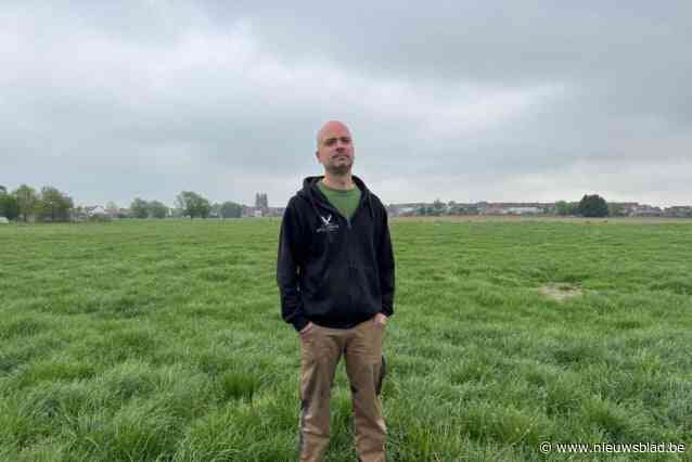 Landbouwer Dieter waarschuwt voor gevaren van loslopende honden: “Parasieten in hun uitwerpselen zijn levensgevaarlijk voor koeien”