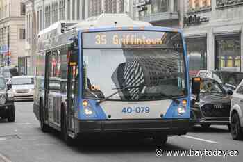 Montreal buses remove 'Go! Canadiens Go!' after complaint to language watchdog
