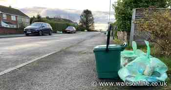 Swansea Council to change what some people can recycle at roadside in new trial