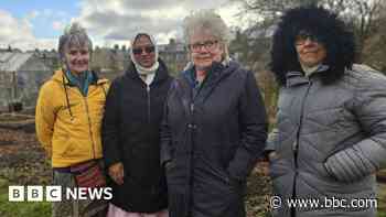 Rent-free allotment move could revitalise plots