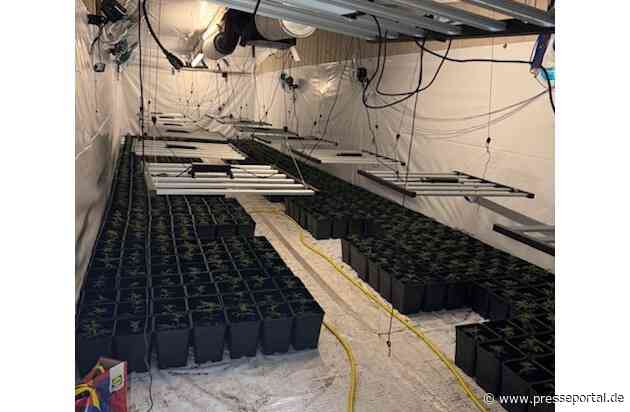 POL-GÖ: (135/2025) Zwei weitere Indoor-Plantagen im Altkreis Osterode entdeckt - Über 2.000 Pflanzen und umfangreiche Anbautechnik beschlagnahmt, 56-Jähriger festgenommen, Ermittlungskommission eingerichtet