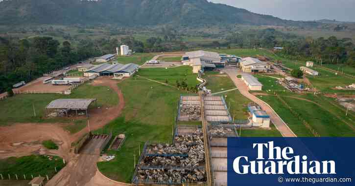 Green groups decry plan to list world’s biggest meatpacking company on NYSE