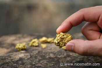 Un agriculteur découvre un gisement d'or d'une valeur de 4 milliards d'euros sur son exploitation