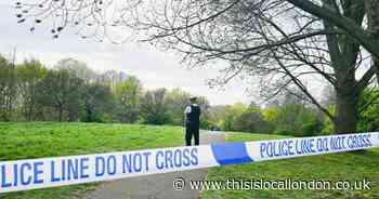 Police unit covering some of London's best known parks faces axe