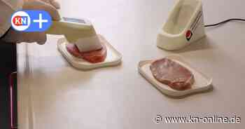 Lübeck: TH-Forscher testen elektronische Nase gegen Lebensmittelverschwendung