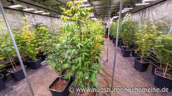 „Wegen unausweichlicher rechtlicher Zwänge“: Bayern genehmigt drei Cannabisclubs