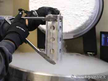 Scontro sull'embrione "adottabile", sinistra sulle barricate: non è vita, solo cellule