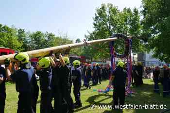 Zum Frühschoppen wird der Maibaum in Werste aufgestellt