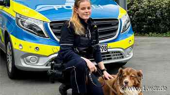 Polizistin adoptiert Hund nach tragischem Tod