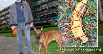 Stekelbananen in het gras en waarschuwing politie: Michiel houdt hier zijn hond strak aan de lijn